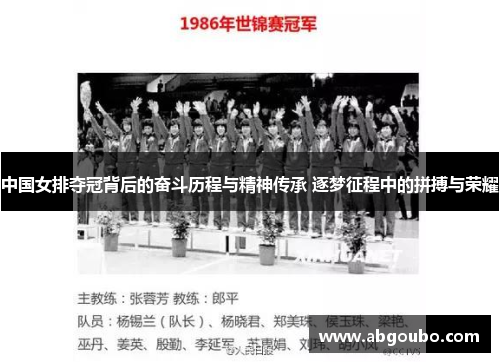 中国女排夺冠背后的奋斗历程与精神传承 逐梦征程中的拼搏与荣耀