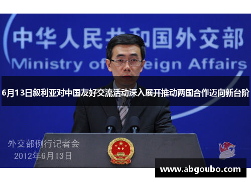 6月13日叙利亚对中国友好交流活动深入展开推动两国合作迈向新台阶