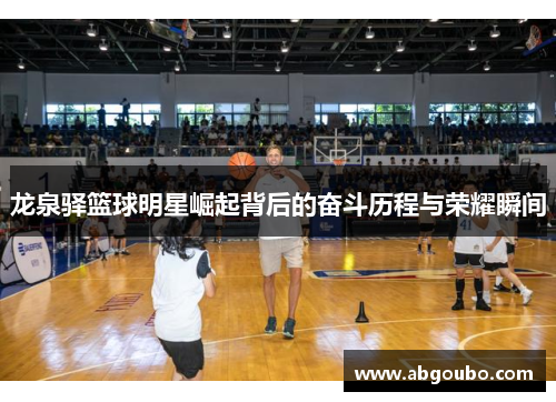 龙泉驿篮球明星崛起背后的奋斗历程与荣耀瞬间